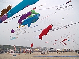 Cervia 2011-198